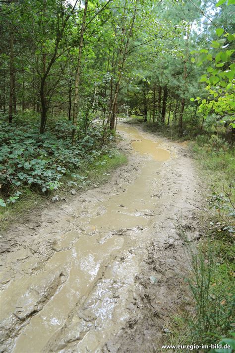 Barfuß im Schutterspark in Brunssum Euregio im Bild