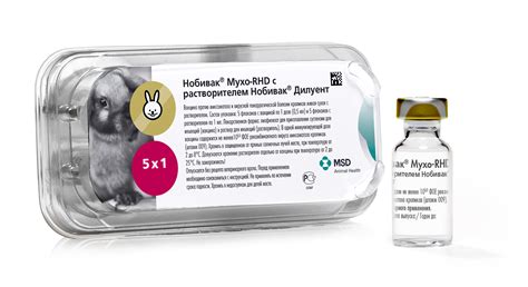 Прививка для кроликов от миксоматоза: подробная инструкция, дозировка и ...