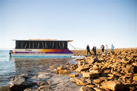 Deep Sea Discoveries - Adelady