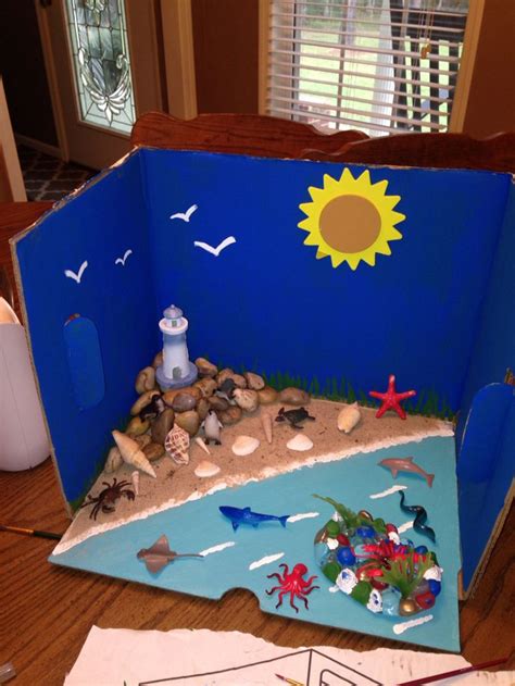 Ocean And Coast Diorama We Made For Kaitlyns School Project Diorama