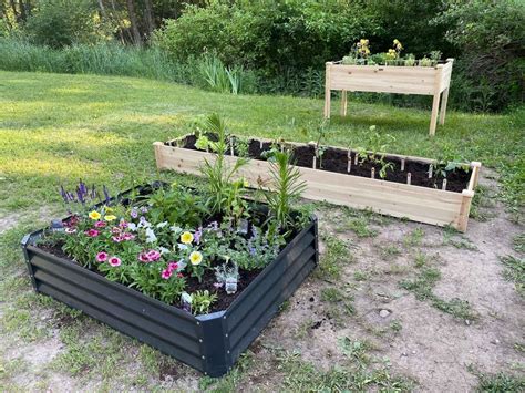 Home Gardening Benefits Of Using Raised Garden Beds Agdaily