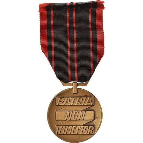 France Résistance Patria Non Immemor WAR Medal 1940 Excellent Quality