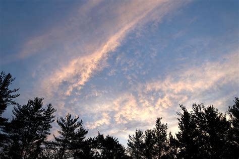 Free picture: purple clouds, sky, clouds, trees