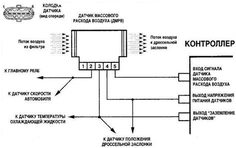 Распиновка проводов дмрв форд фокус