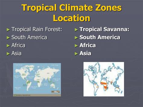 PPT Climate Zones And Vegetation PowerPoint Presentation Free