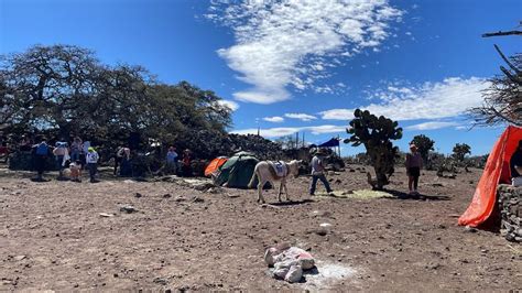 Tunititl N Celebra Su Tradici N De Subir Al Cerro Del Elefante Con Una