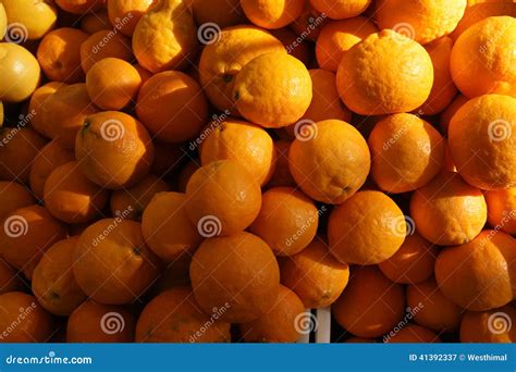 Gold Nugget Mandarin Gold Nugget Tangarine Stock Image Image Of