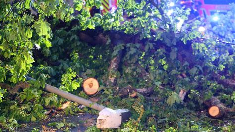 Unwetter Stamm Von Kastanie Verfehlt Auto In G Ttingen Knapp