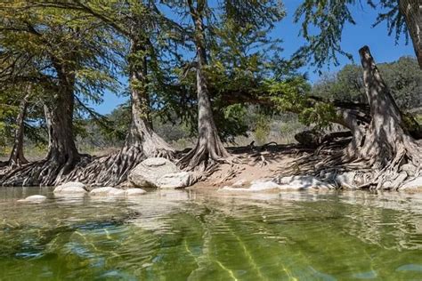 Pedernales Falls State Park – Wild