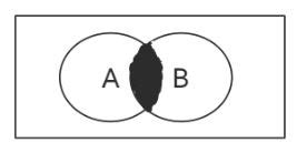 Venn Diagram - reading, creating, interpreting Venn Diagrams