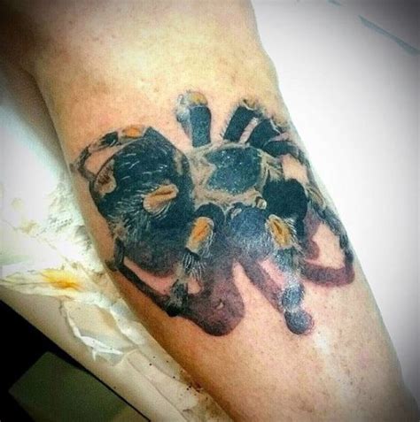 Tatuagens De Aranhas E Teias De Aranha O Significado