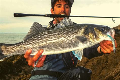 Conseils De Pêche En Mer Blog Pacific Pêche