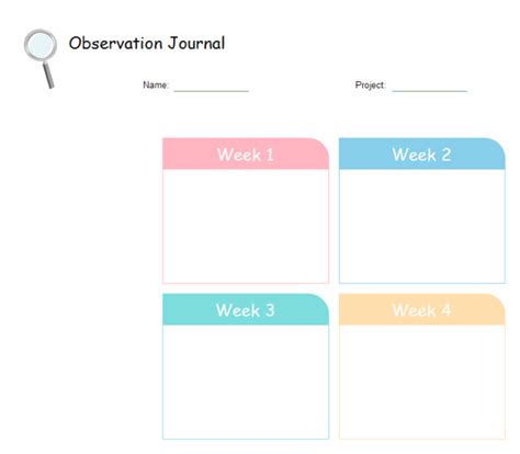 Observation Chart Examples Edraw