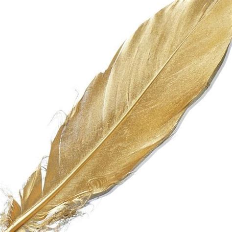 30 Pack Metallic Gold Natural Goose Feathers, Craft Feathers for Party ...