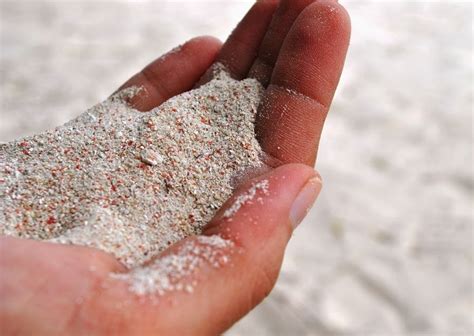 The World S Most Pristine Pink Sand Beach Santa Cruz Islands