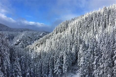 Snowy Winter Getaways Eugene Cascades Oregon Coast