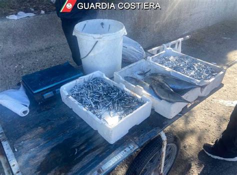 La Guardia Costiera Di Vibo Marina Sequestra 100 Chili Di Prodotti