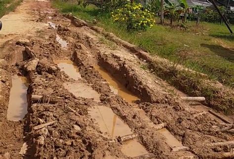 Rusak Parah Jalan Dalam Desa Sungai Raya Terkesan Kades Tutup Mata