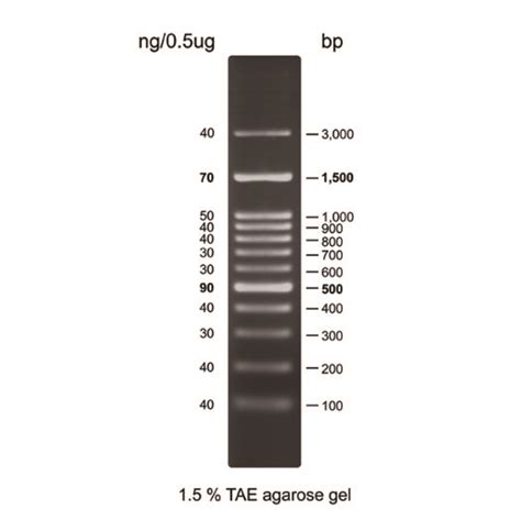 G Kb Plus Opti Dna Marker Off Pinnaxis