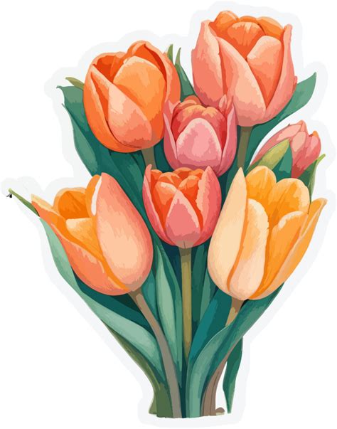 Tulip Flowers Bouquet Cartoon Ai Generative 27787931 Png