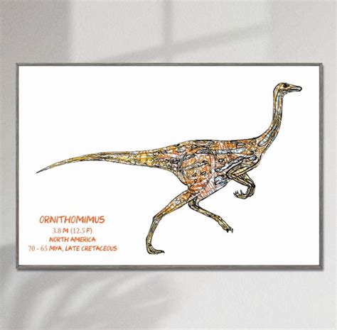 Ornithomimus Dinosaur Wall Art Digital Download Animal Etsy