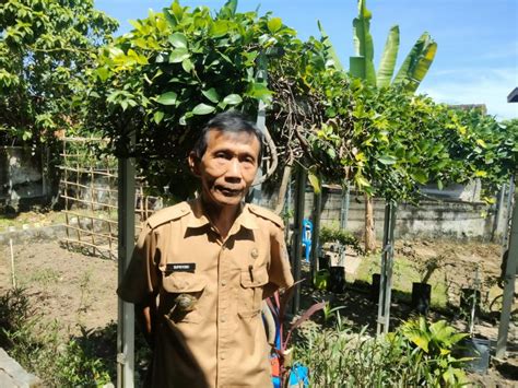 DKP OKU Dorong Masyarakat Budidaya Tanaman Dengan Sistem Hidroponik