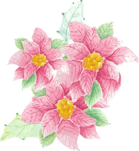 Free Watercolor Christmas Poinsettia Flower Bouquet 13390881 Png With