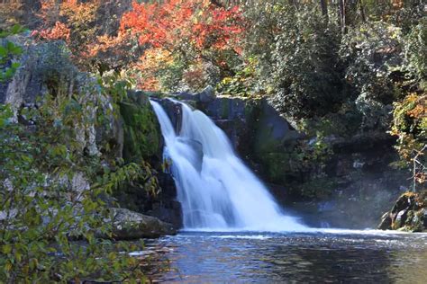 5 Hiking Safety Tips for Trails in Cades Cove