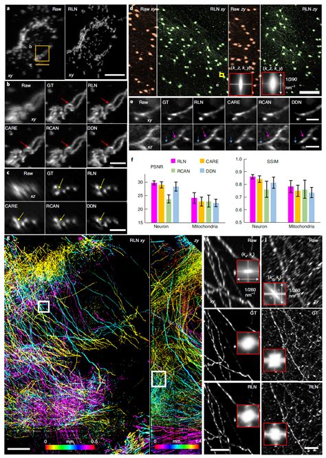 Nature Methods 基于AI的快速超分辨率显微镜技术 知乎