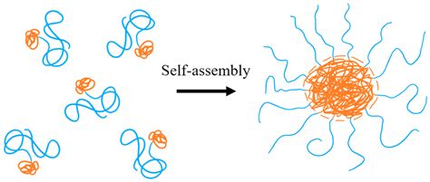 1 The Self Assembly Of Amphiphilic Linear Diblock Copolymers Into A Download Scientific