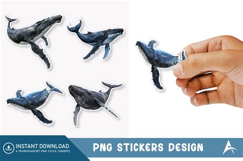 Humpback Whale PNG Sticker Clipart Desig Graphic By AllisonSuns