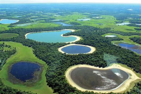 Bioma Do Mato Grosso Do Sul Durante As Aulas De Matem Tica O