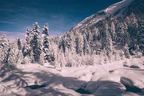 Alpine winter landscape stock photo. Image of bernina - 164994778