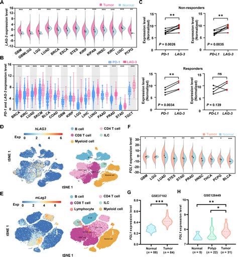 Development Of Lag Fgl Blocking Peptide And Combination With