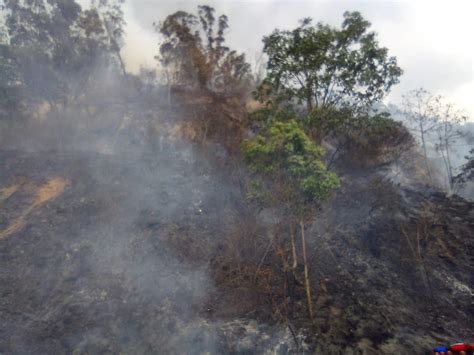 Reportan Incendio Forestal En El Waraira Repano