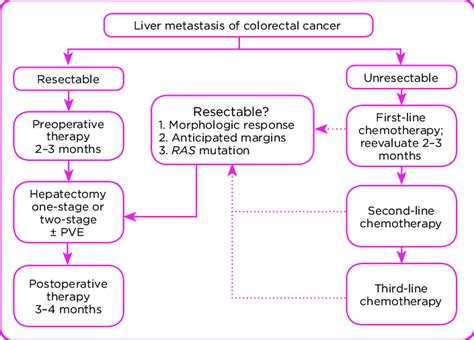 Multidisciplinary Treatment Algorithm For Patients With Liver Download Scientific Diagram