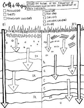 Changing earth coloring sheet: Formation of Sedimentary Rock and Fossil ...