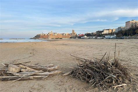 Balneatori Puliscono Spiagge A Termoli E Campomarino Piazza Rossetti