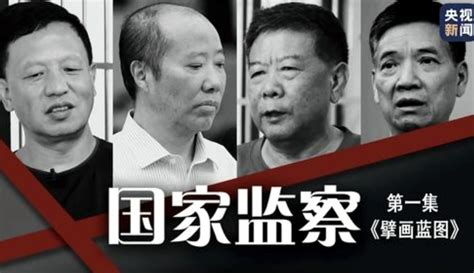 国家监察 纪录片 免费在线观看 爱奇艺