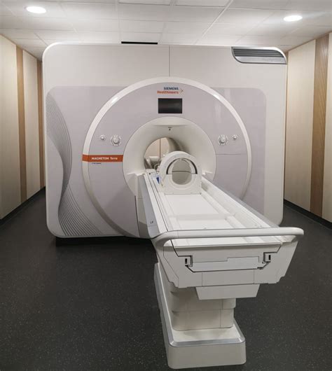 New Ultra High Field MRI System Available For Radboudumc And Radboud