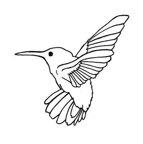 Realistic Hummingbird Coloring Pages Shoppingmili