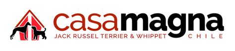 Casa Magna – Criadero Jack Russells en Chile – Criadero profesional ...