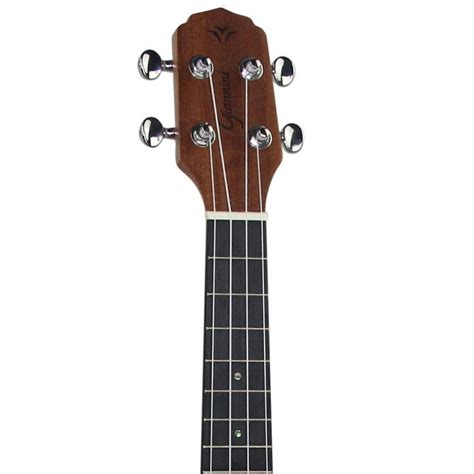 Ukulele Concert Guk Ws Sapele C Bag Giannini Audiodriver