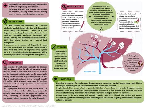 Liver Cancer - October Liver Cancer Awareness Month