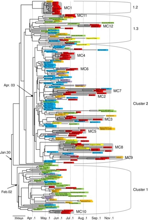 Bayesian Coalescence Phylogeny Of Influenza A H1N1 Pdm Open I