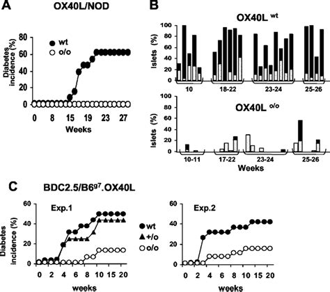 Protection From Diabetes In NOD Or BDC2 5 B6 G7 Mice Lacking OX40L A