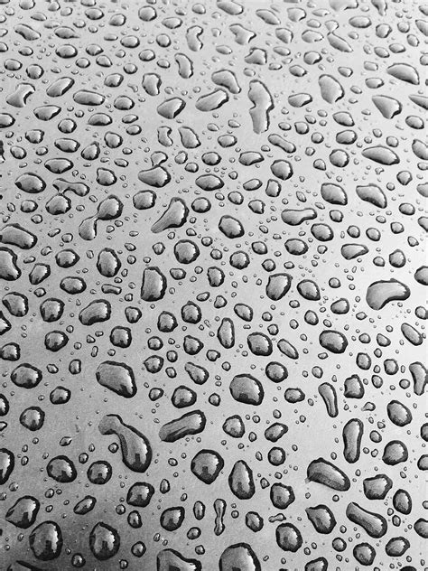 "Rain Drops On Car Hood, Close Up" by Stocksy Contributor "Rialto ...