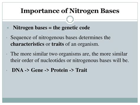 Structure Of Dna And Replication Ppt Download