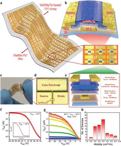 Flexible Dualchannel TeNWs Tebased FET Array A A Schematic Layout