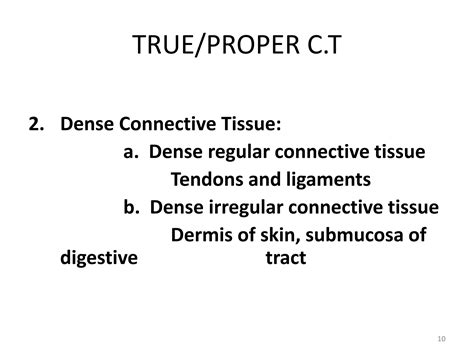 Connective Tissue.pptx